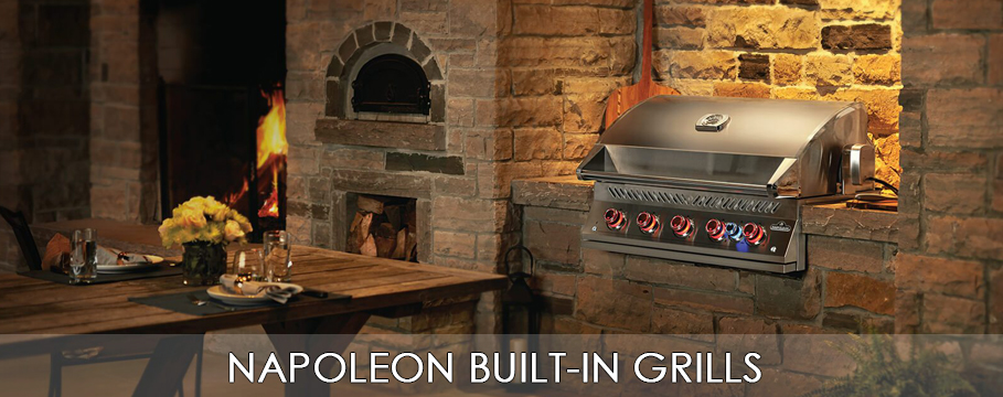 2019 Napoleon BI Banner
