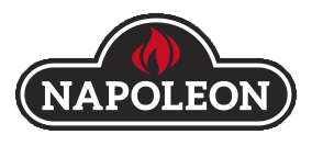 2019 napoleon logo