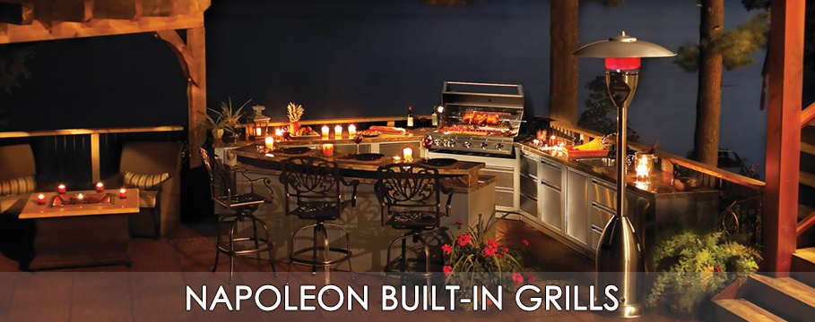 2019 Napoleon BI Banner